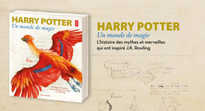 Harry Potter, un monde de magie 