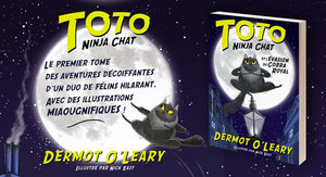 Toto Ninja chat