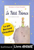 E_PUB Petit Prince
