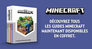 Coffret Minecraft
