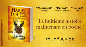Harry Potter et l'enfant Maudit