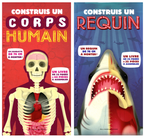 Construis un corps humain ou un requin