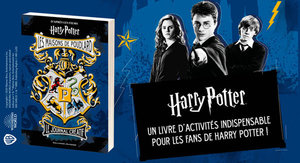 Les maisons de Poudlard : journal créatif Harry Potter