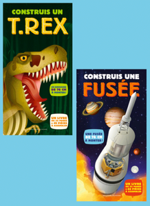 Lire, construire, comprendre