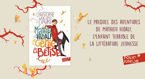 Mathieu Hidalf le génie de la bêtise