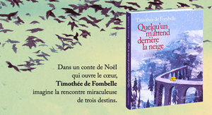 Quelqu'un m'attend derrière la neige