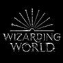 Wizarding World