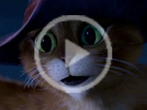 Le Chat Potté