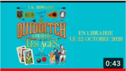 videoQiudditch