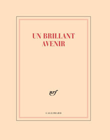 Cahier Un brillant avenir
