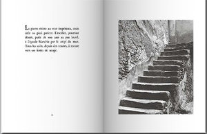 Albert Camus, La Postérité du soleil. Photographies d'Henriette Grindat. Itinéraire de René Char, Gallimard, 2009